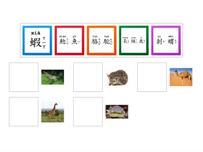 學華語向前走 B1 第八課 動物
