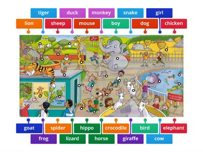 Starters Words Zoo Picture