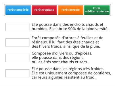 La forêt