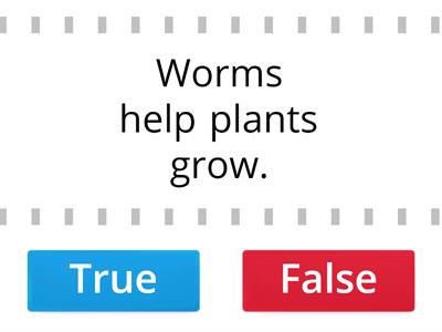 Worms - EFL - True or False 