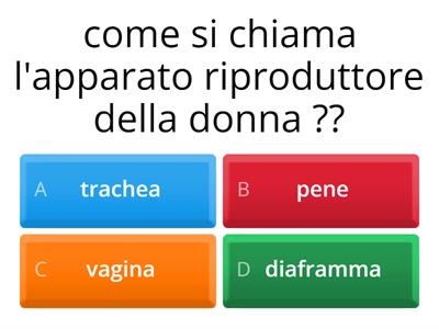 apparato riproduttore