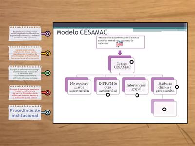 Modelo CESAMAC