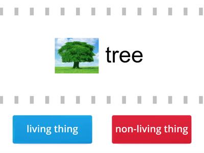  Identify living and non-living things