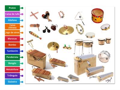 Instrumentos da sala de aula EE