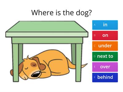 Prepositions - in, on, under, next to, over