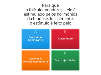 Sistema genital feminino