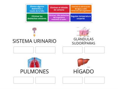 FUNCIONES