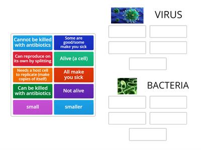 Virus or Bacteria
