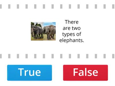TRUE OR FALSE QUIZ ABOUT ELEPHANTS