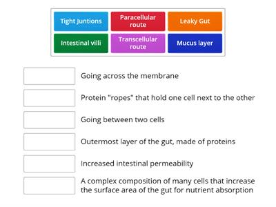 Your Healthy Gut: Leaky Gut, Part 1