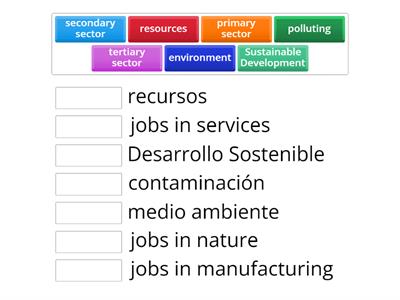 y4 sectors