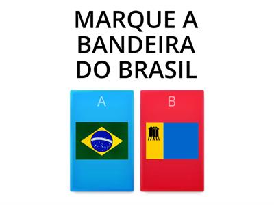 BANDEIRA DO BRASIL