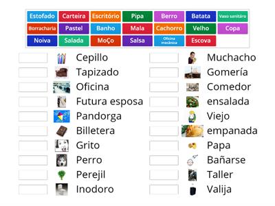 Falsos Cognatos: O que significam estas palavras na Língua Portuguesa