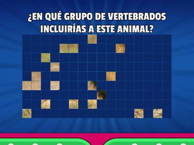 Animales vertebrados 1