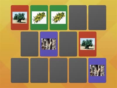 لعبة الذاكرة-اقسام شجرة الزيتون