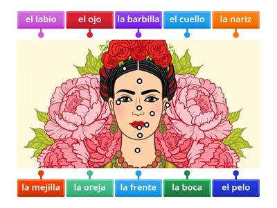 Partes de la cara Frida Kahlo