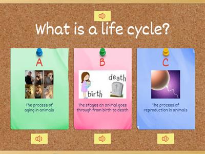 Diversity and Classification: Concept of life cycle of an animal