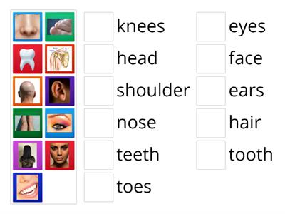 Starters Unit 2 - Body and Face