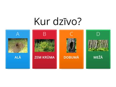 Dzīvnieki