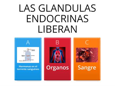 SISTEMA ENDOCRINO 