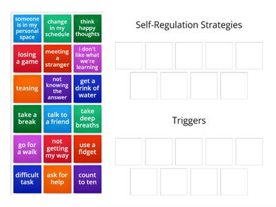Self-Regulation Strategies and Triggers: Group Sort