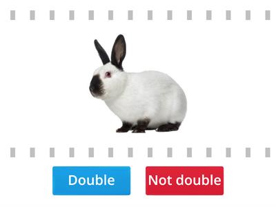 Rabbit Word (double consonant)?