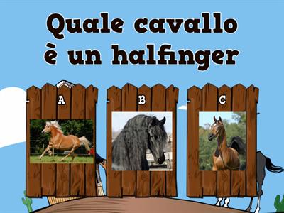 Cavalli quiz