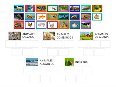 ANIMALES