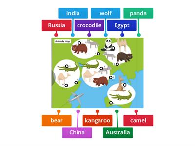 Animals map