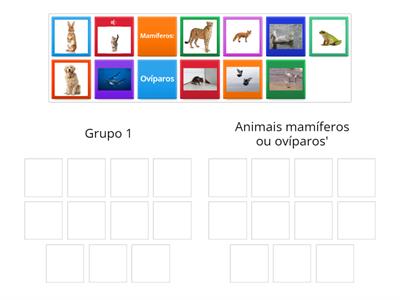 Animais mamíferos ou Ovíparos?