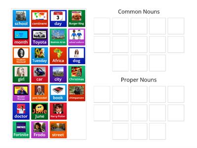 Common and Proper Nouns - Drag and Drop
