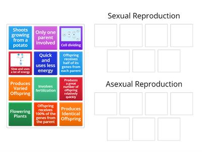 CAX KS4 Sexual and Asexual Reproduction