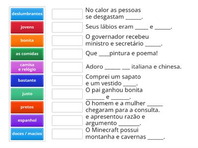 Concordância nominal - adjetivo