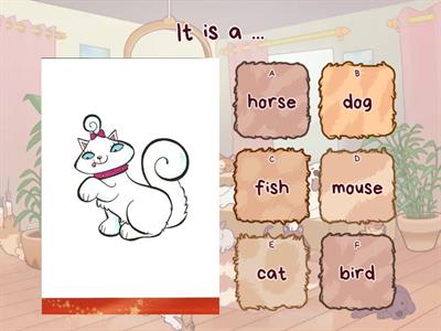 Kid's box 1. Unit 5. Our pets. (Quiz)