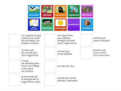 Cadenas alimenticias (vocabulario)