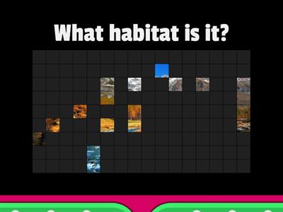 What habitat is it?