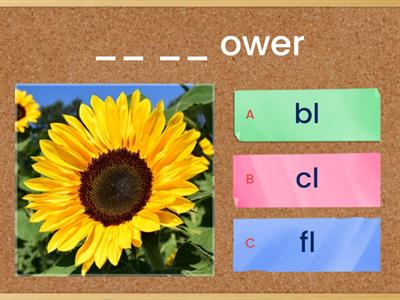 Review: Consonant Blends (L and R Blends)