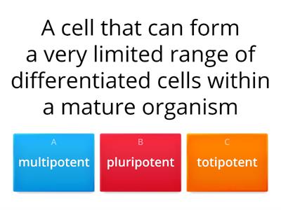 Types of stem cells
