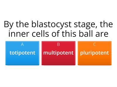 Types of stem cells