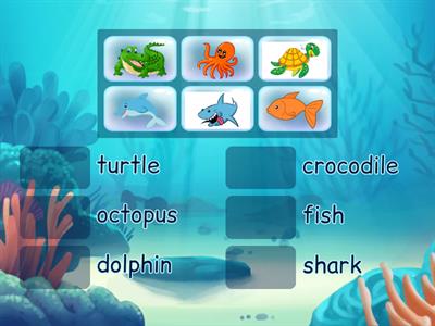 Lesson 4d Sea animals
