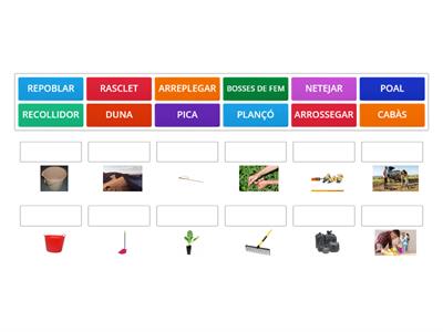 VOCABULARI-II- L'ECOLOGIA 4T PRIMÀRIA