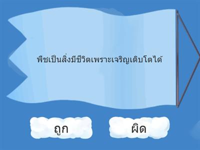 เรียนรู้ชีวิตพืช วิทยาศาตร์ ป.2