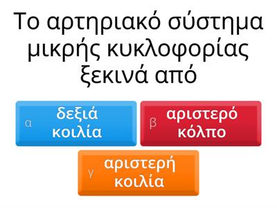 ΑΡΤΗΡΙΑΚΟ ΣΥΣΤΗΜΑ  ΜΙΚΡΗΣ ΚΥΚΛΟΦΟΡΙΑΣ