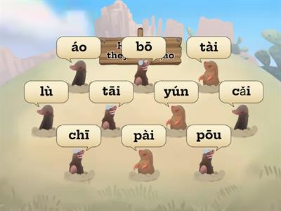  Pinyin ai,ao Moles