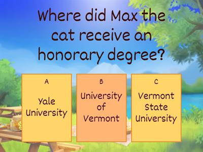 US University Gives Cat Honorary Degree
