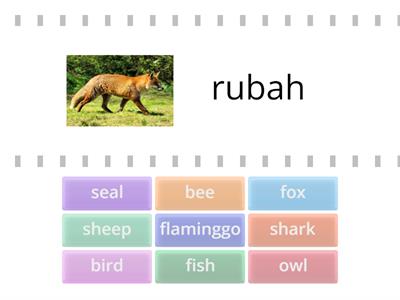 Animal Phonic 