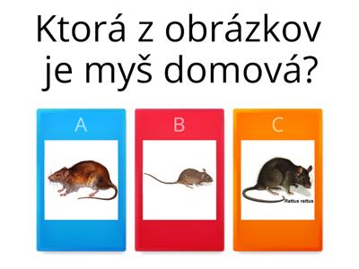 Opakovanie {Biológia}