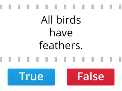 Grade 3 : Facts about birds