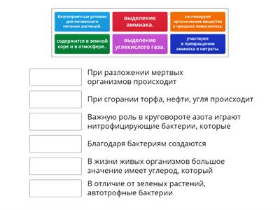 РКИ. Язык специальности