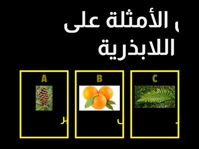 ورقة عمل مراجعة لمادة العلوم  الصف الخامس